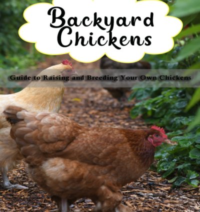 Backyard Chickens